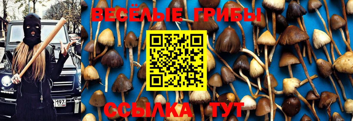 что такое   Галлюциногенные грибы ЛСД  Вход с VPN  Дятьково 
