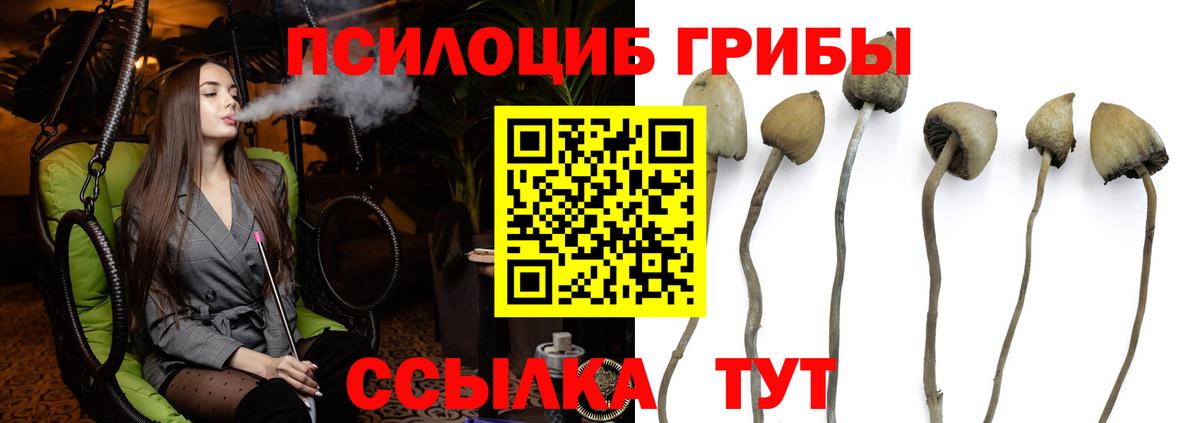 Псилоцибиновые грибы MAGIC MUSHROOMS Дятьково
