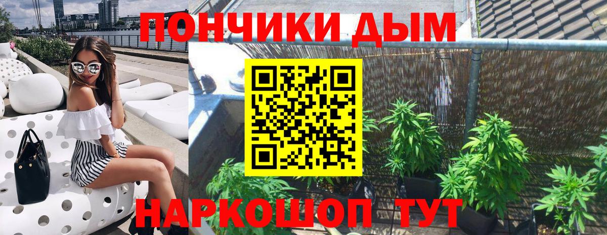 Бошки Шишки тримм  Вход с VPN  Канабис THC 21%  Бошки Шишки White Widow  Дятьково 